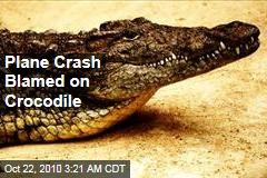 Escaped Croc Blamed for Plane Crash