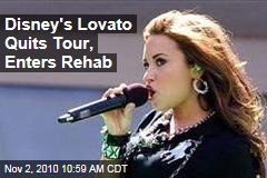 Disney's Lovato Quits Tour, Starts Rehab