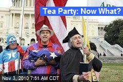 Tea Party: Now What?