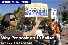 Why Proposition 19 Failed