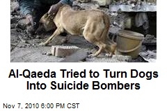 Al Qaeda Tries to Turn Dogs Into Suicide Bombers