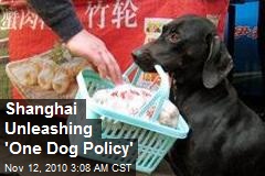 Shanghai Unleashing 'One Dog Policy'