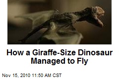 How a Giraffe-Size Dinosaur Managed to Fly