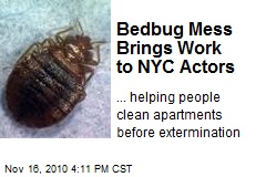 Bedbug Mess Brings Work to NYC Actors