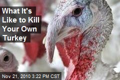 What It's Like to Kill Your Own Turkey