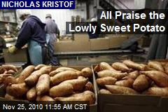 All Praise the Lowly Sweet Potato