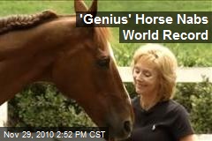 'Genius' Horse Nabs World Record