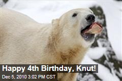 Happy 4th Birthday, Knut!