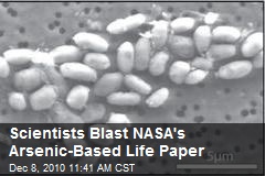 Scientists Blast NASA's Arsenic-Based Life Paper