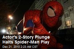 2-Story Plunge Halts Spiderman Play