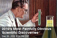 2010's Most Painfully Obvious Scientific Discoveries