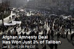 Afghan Amnesty Deal Has Won Just 3% of Taliban