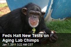 Alamogordo Chimps: Aging Lab Animals Get Reprieve From More Tests