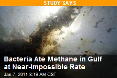 Bacteria Ate Methane in Gulf at Near-Impossible Rate