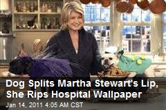 Dog Splits Martha Stewart's Lip, She Rips Hospital Wallpaper