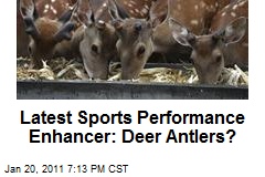 Latest Sports Performance Enhancer: Deer Antlers?