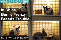 Bunny Frenzy Keeps Chinese Hopping