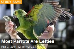Most Parrots Are Lefties