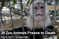 35 Animals Freeze to Death in Mexican Zoo