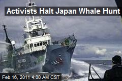 Activists Halt Japan Whale Hunt