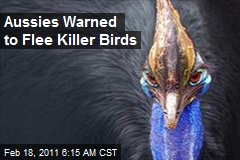 Aussies Warned to Flee Killer Birds