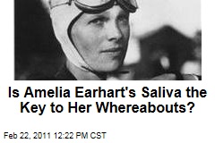 Bones Possibly Belonging to Amelia Earhart Could Be Identified Using DNA From ... Saliva