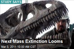 Next Mass Extinction Looms