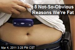 Five Reasons We're Obese