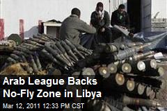 Arab League Backs No-Fly Zone in Libya