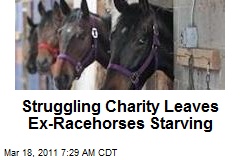 Struggling Charity Leaves Ex-Racehorses Starving