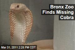 Bronx Zoo Cobra Reportedly Found