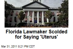 Florida Lawmaker Scott Reynolds Scolded for Using the Word 'Uterus' on House Floor