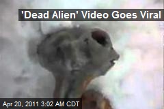 &#39;Dead Alien&#39; Video Goes Viral
