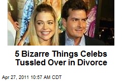 5 Bizarre Things Celebs Tussled Over in Divorce
