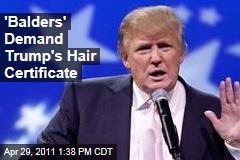 Move Over, Birthers: Let's See Trump's Hair Certificate