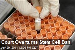 Court Overturns Stem Cell Ban