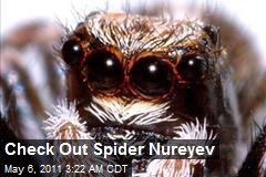 Check Out Spider Nureyev