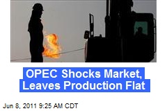 OPEC Shocks Market, Leaves Production Flat