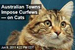 Australian Towns Create Cat Curfew to Prevent Attacks on Wildlife