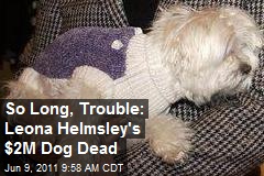 So Long, Trouble: Leona Helmsley&#39;s $2M Dog Dies