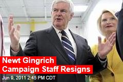 Newt Gingrich's Top Campaign Staff Resigns