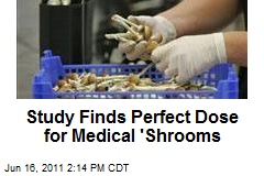 Study Finds Perfect Dose for Medical &#39;Shrooms