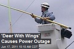 &#39;Deer With Wings&#39; Causes Power Outage