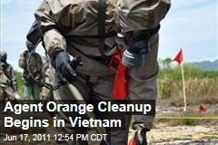 Agent Orange Health Risks: US and Vietnam Work to Clean Up Chemical Damage