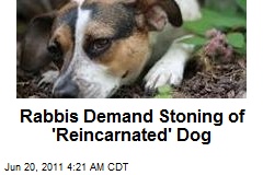 Rabbis Demand Stoning of &#39;Reincarnated&#39; Dog