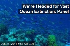 We&#39;re Headed for Vast Ocean Extinction: Panel