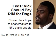 Feds: Vick Should Pay $1M for Dogs