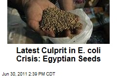 Egypt's Fenugreek Seeds Blamed in Europe's E. coli Crisis
