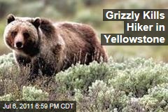 Grizzly Kills Hiker in Yellowstone National Park