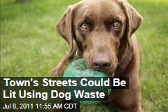 Phoenix Suburb Considers Using Dog Waste for Power